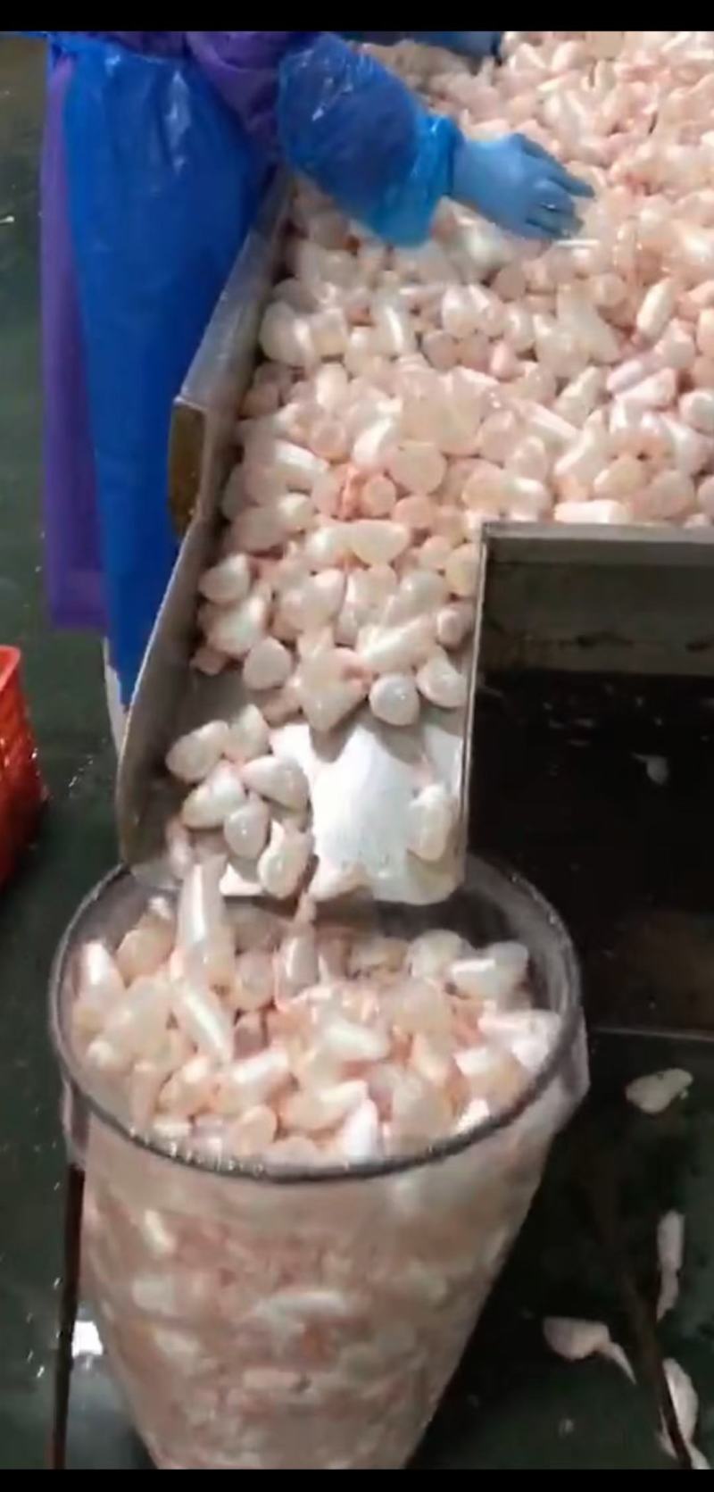 鱼鰾精品鱼鰾厂家直销一手货源视频看货质量保证