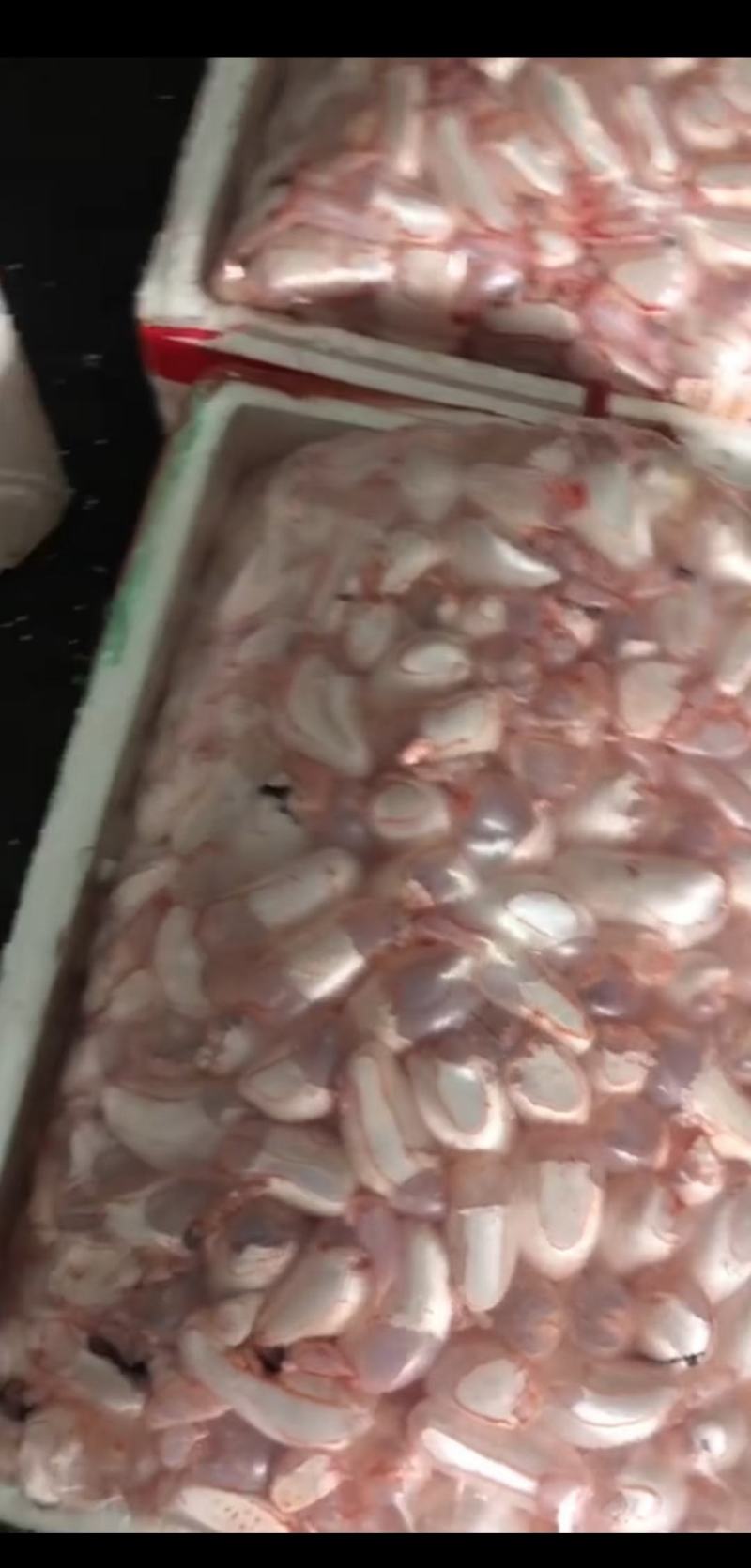鱼鰾精品鱼鰾厂家直销一手货源视频看货质量保证