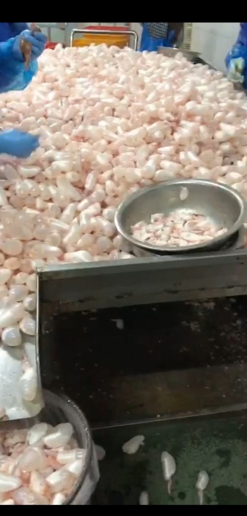鱼鰾精品鱼鰾厂家直销一手货源视频看货质量保证