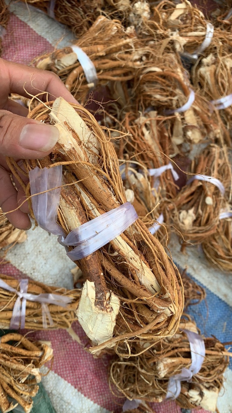 精品一两重左右的无硫五指小扎色泽均匀新鲜