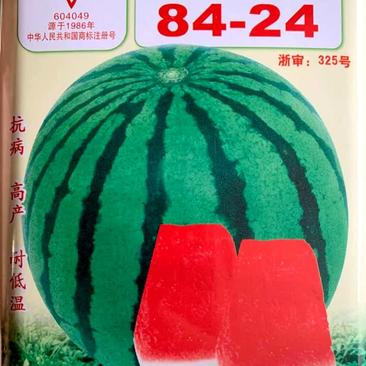 8424西瓜种子，红瓤汁多，味美爽口，不裂果，购买请联系