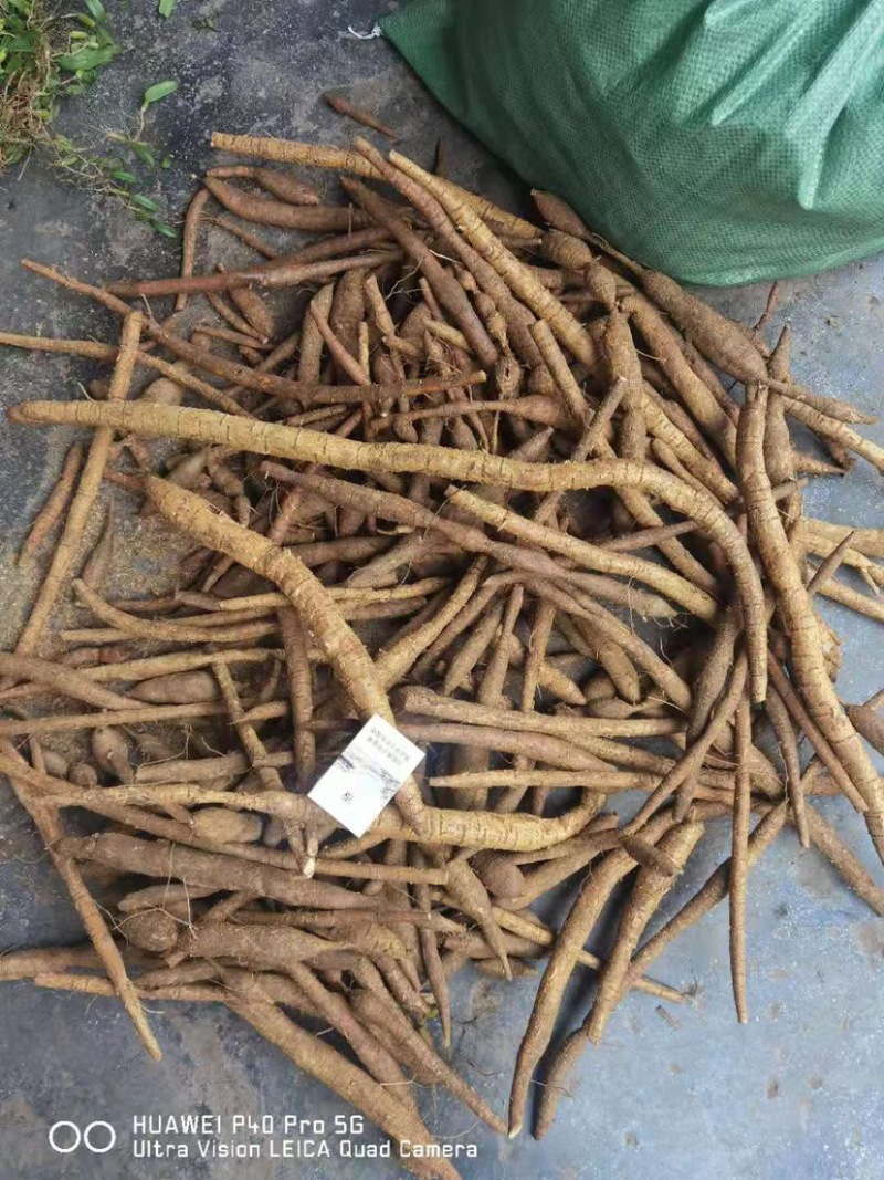 牛大力黄牛野生牛大力鲜货统货新鲜煲汤