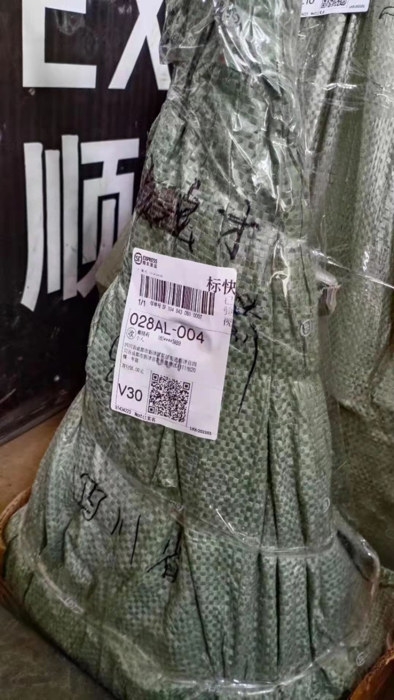 【顺丰包邮】大红八角嫁接苗，矮化嫁接苗一年苗两年苗