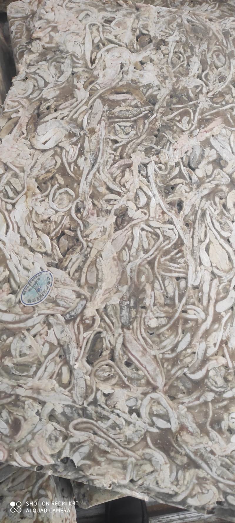 鸭黑肠，大厂货质量好价格优，常年为广大养鱼基地供货