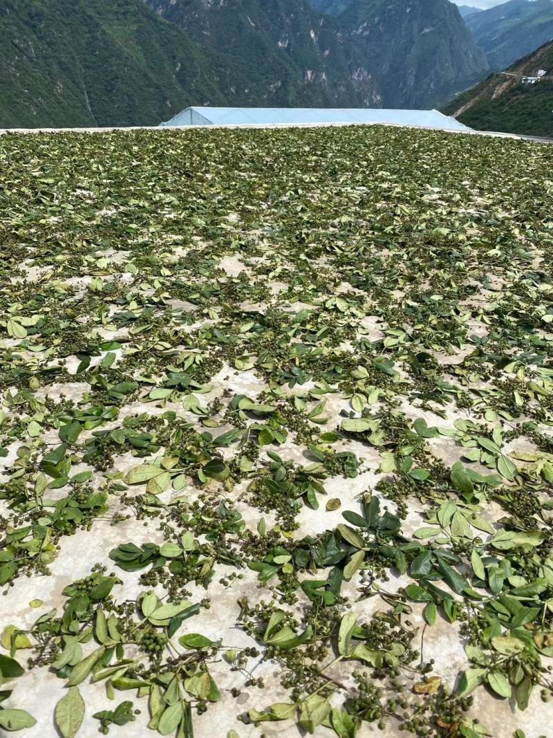青麻椒500g特麻江津花椒粒藤椒粉香料火锅底料调料大全