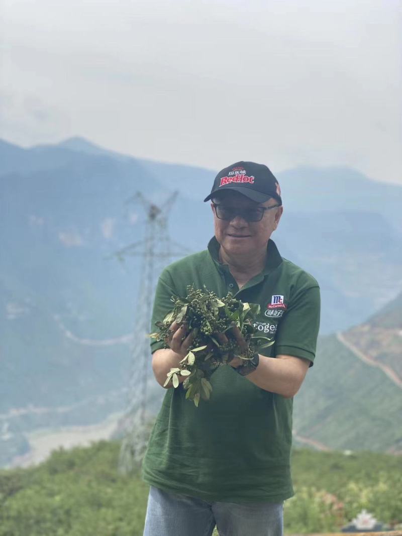 青麻椒500g特麻江津花椒粒藤椒粉香料火锅底料调料大全