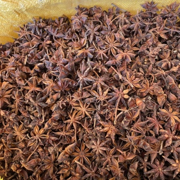 无硫大红八角足干烫水春花八角干枝八角黑八角各种货源