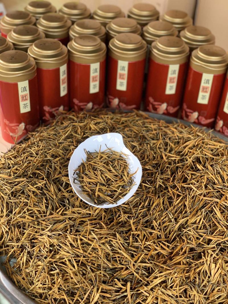 云南滇红茶2023新茶云南古树红茶特级大金针蜜香凤庆