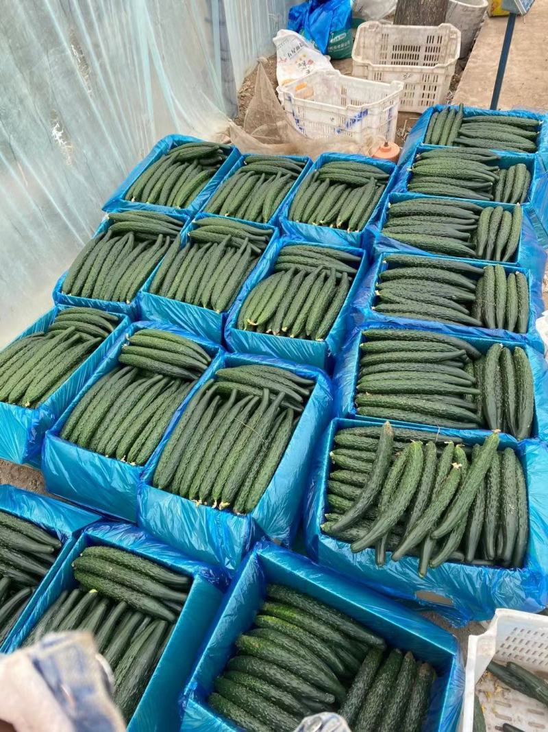产地直发，超市，平台，市场，食堂，全部有货，当天现采，