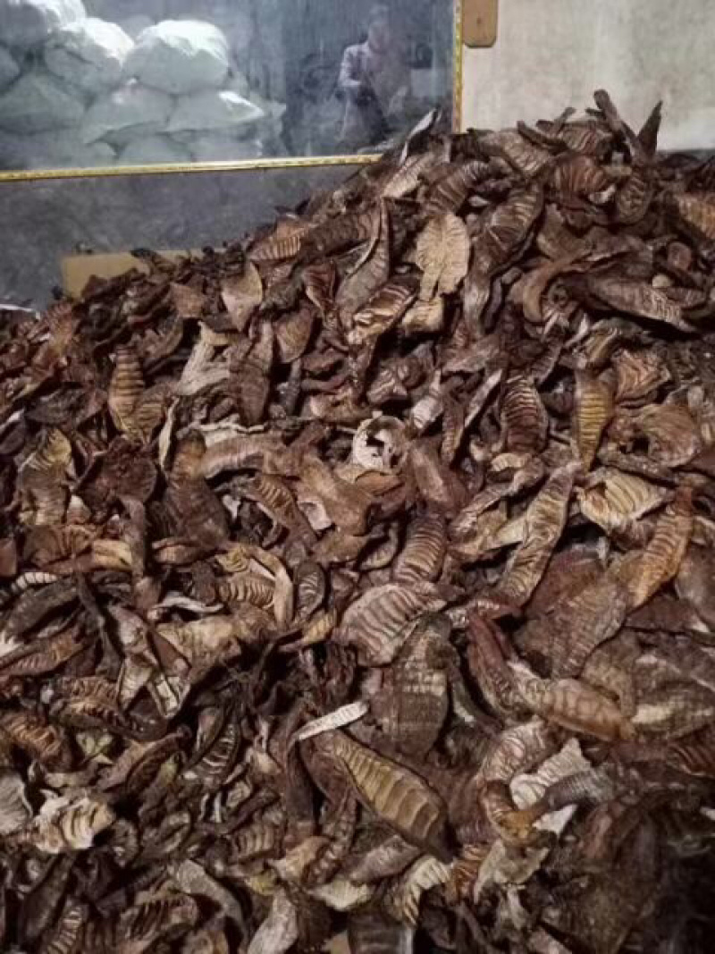 农家自制烟熏笋干烟笋干笋片干烟笋楠竹笋子柴火烟熏笋干