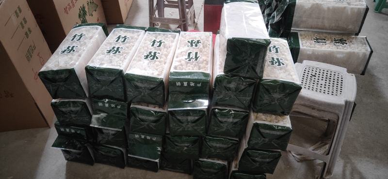 福建古田无硫竹荪蛋毛重半斤特惠装长期供货