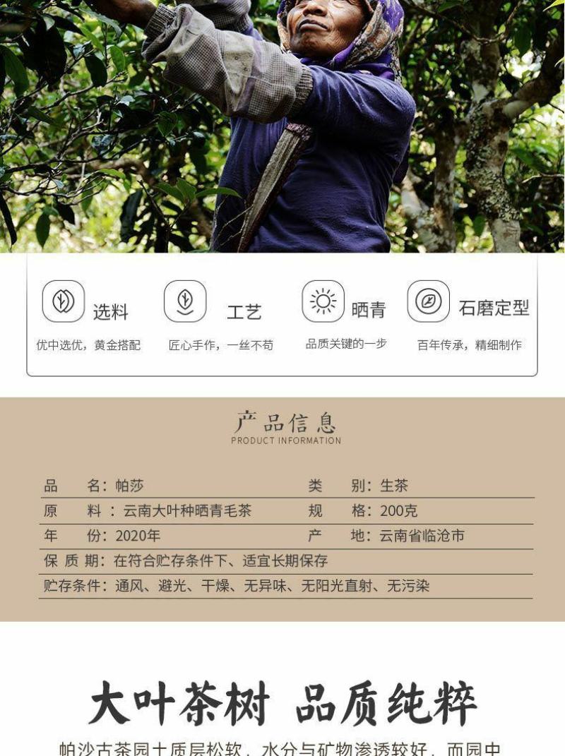 【大宗批发询客服】2019年帕沙古树茶200g饼茶