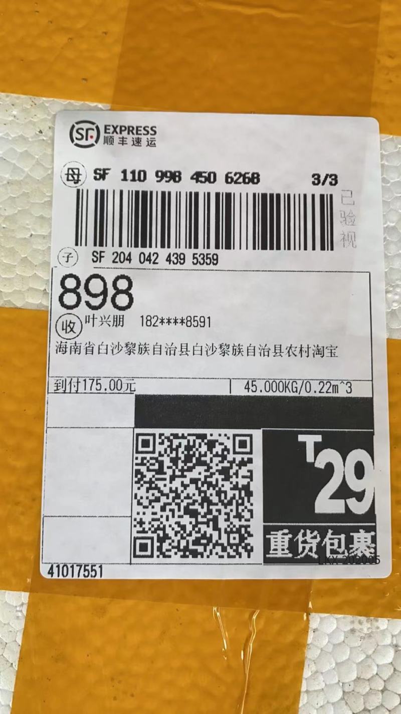 广东香蕉苗、广西香蕉苗、矮化香蕉苗、巴西蕉苗、芭蕉苗