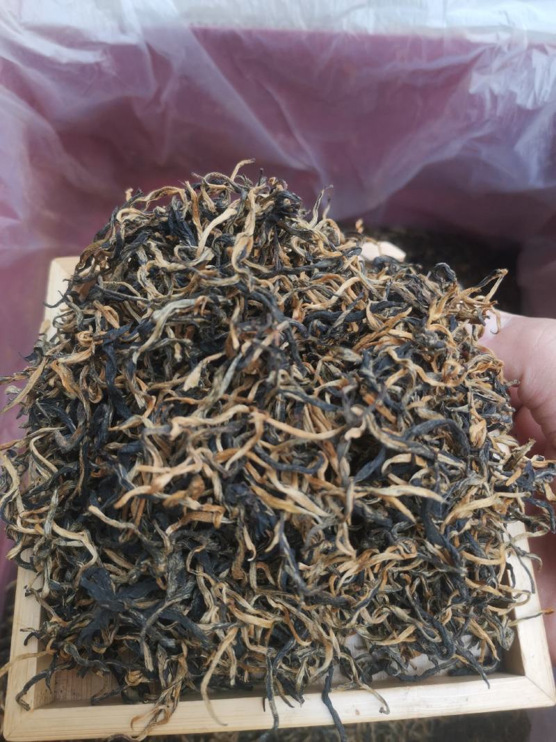 红茶滇红白号红茶蜜香红茶单芽一芽一叶