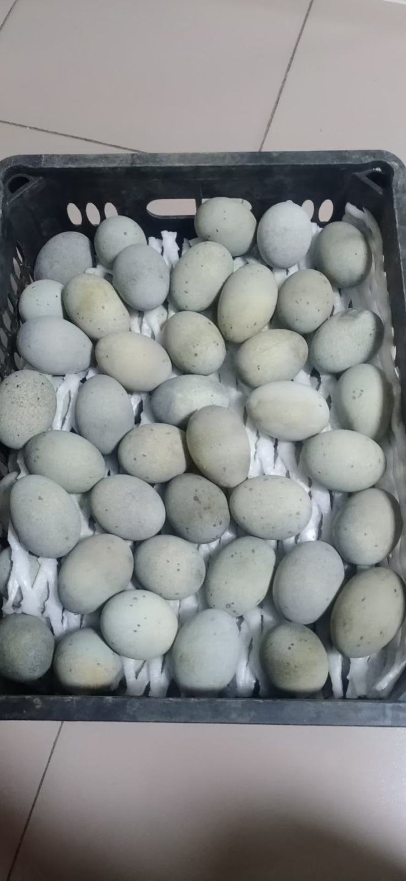 早市大集地摊松花蛋质量很好有想法的可以试试小生意赚大钱