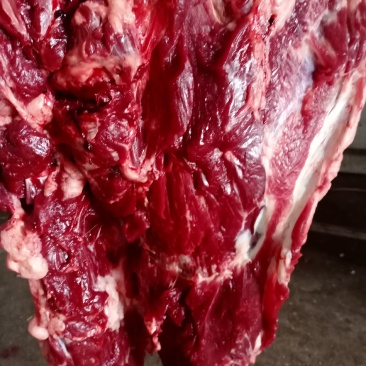 驴肉
