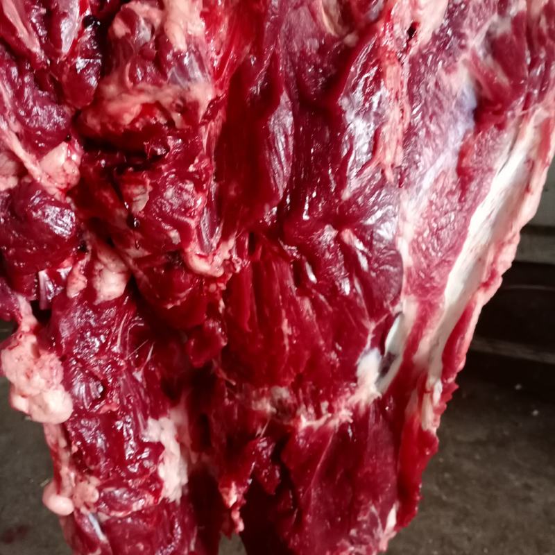 驴肉