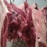 驴肉
