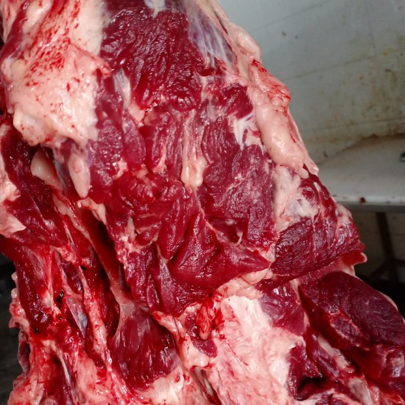 驴肉