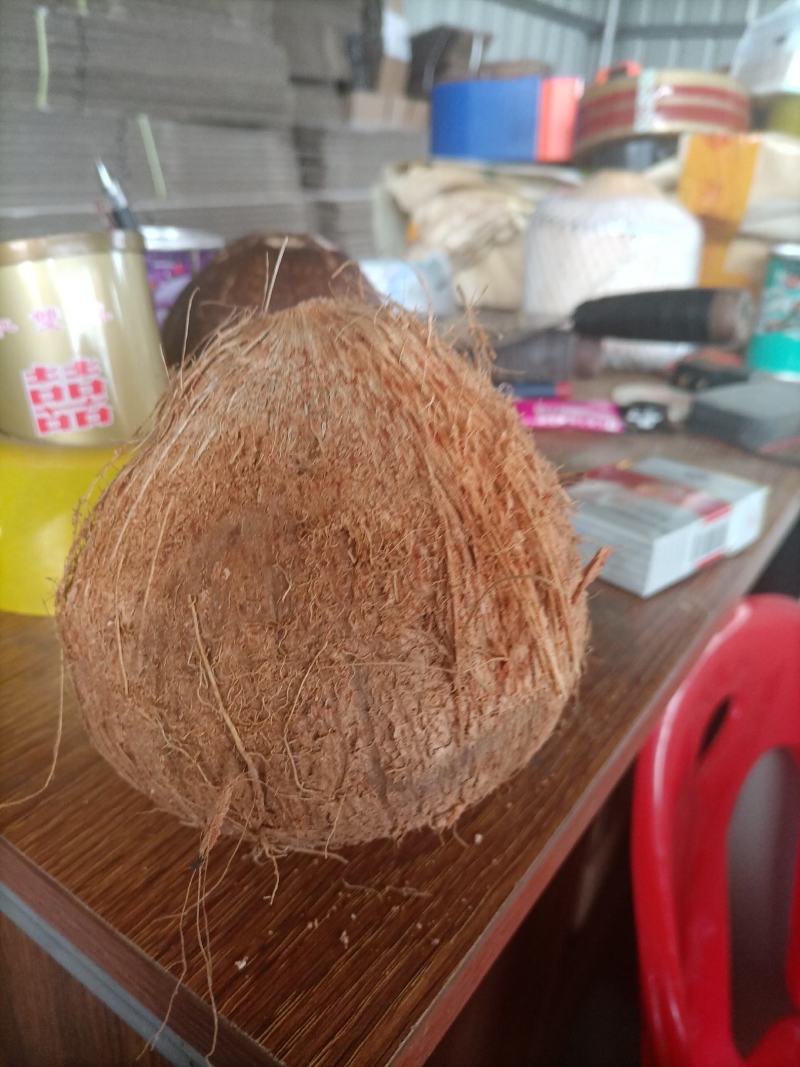 海南，越南特产新鲜椰子老椰子特产水果毛椰子，（厂家直销）