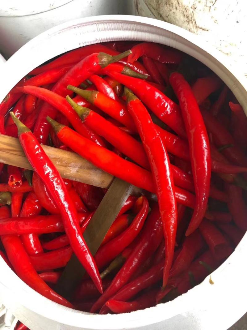 美人椒，味道好，质量好