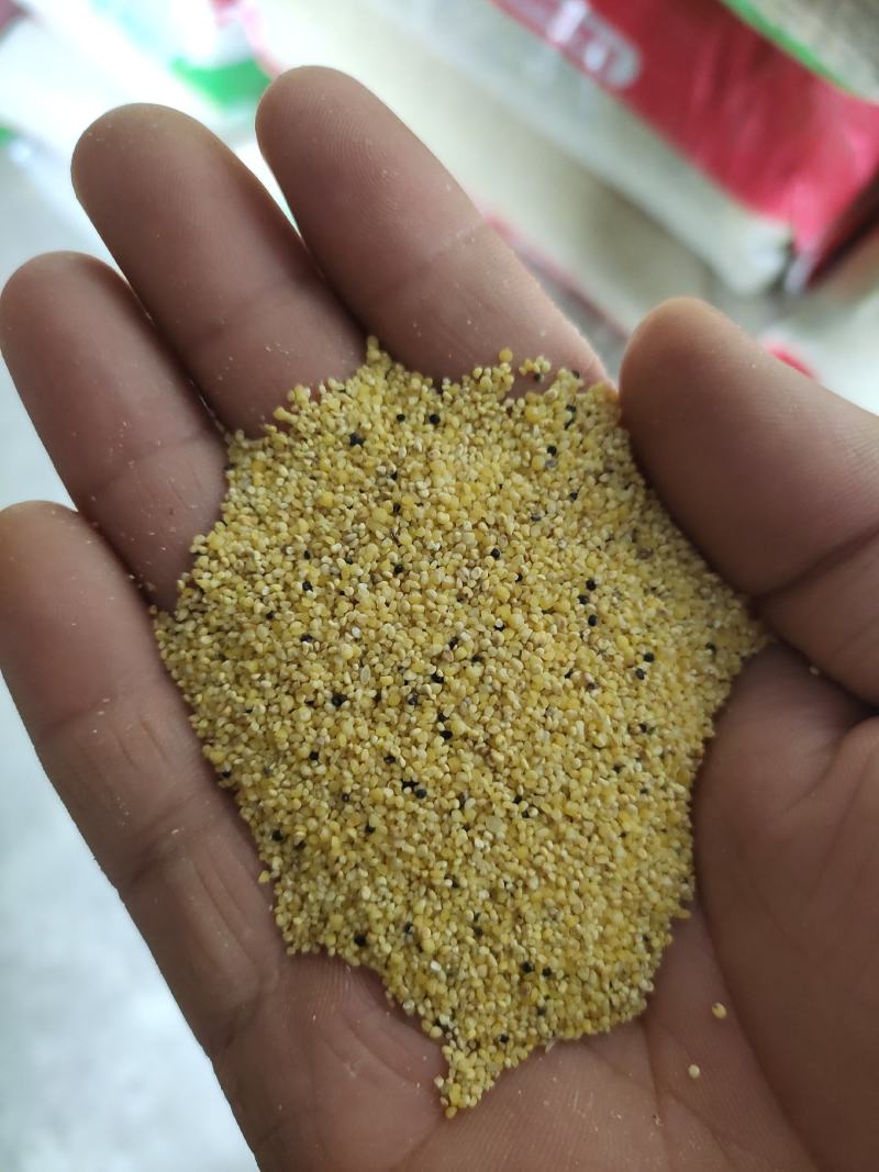 色选小米，烧酒小米，次小米，养殖用的小米