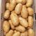 山东安丘荷兰黄心土豆，一手货源，保质保量，全国发货