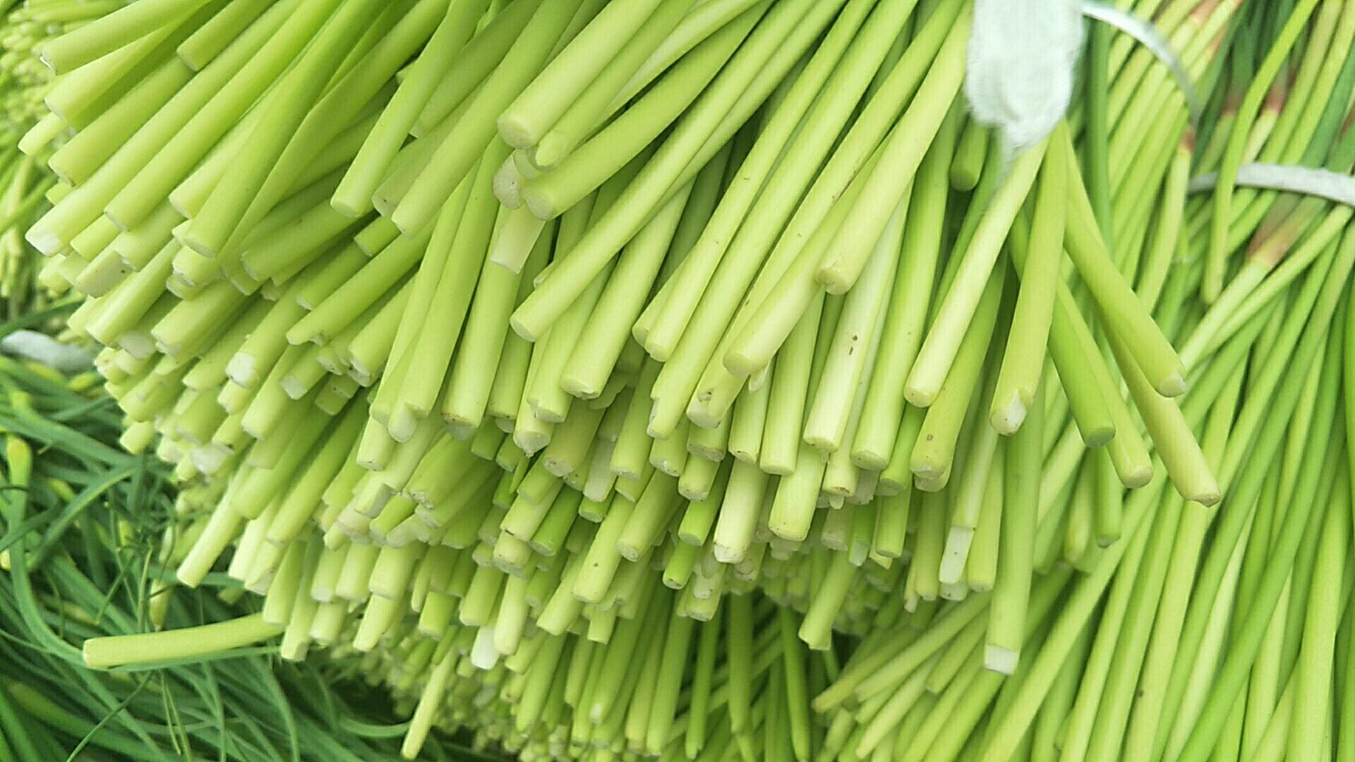 蒜薹与其他蔬菜对比图