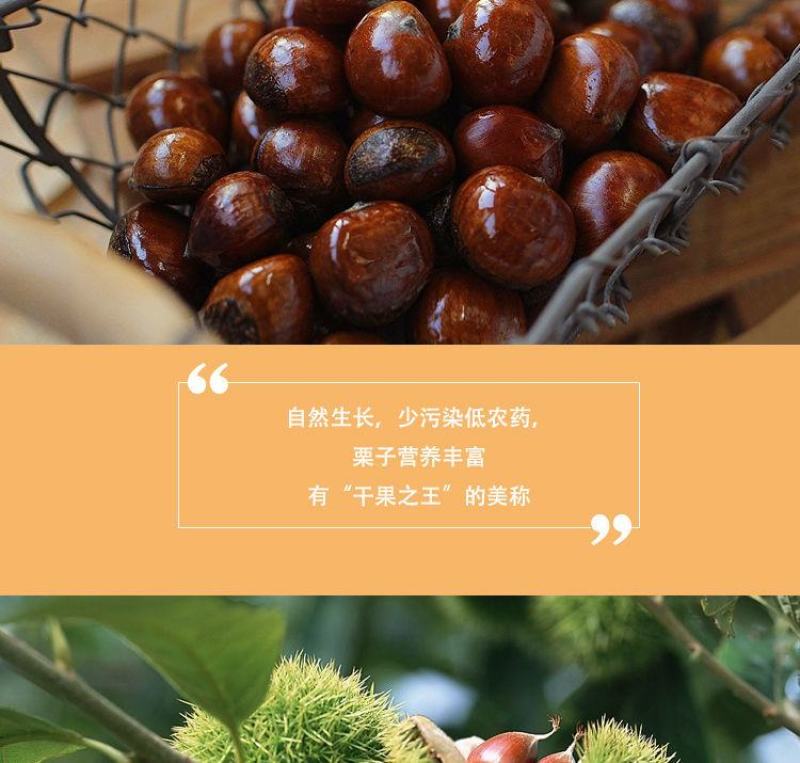 熟的即食板栗仁油栗子仁熟制甘栗仁熟板栗孕妇零食小吃大礼包