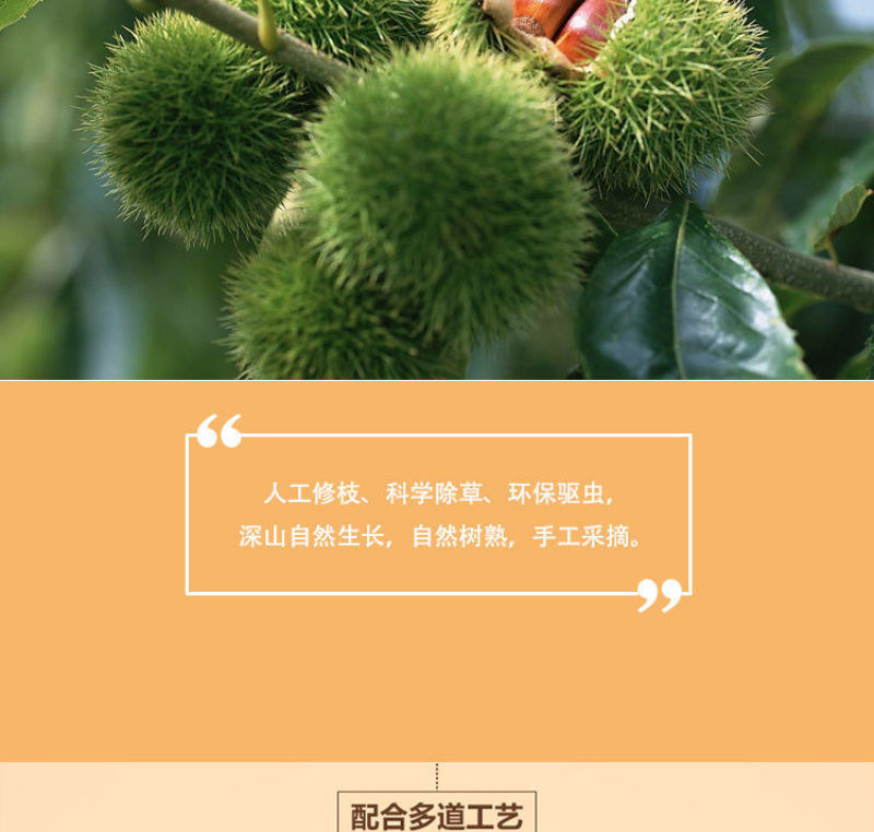 熟的即食板栗仁油栗子仁熟制甘栗仁熟板栗孕妇零食小吃大礼包