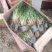 苔草，青绿苔草，崂峪苔草，