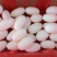 鳄鱼蛋养殖鳄鱼食用鳄鱼蛋真空一件代发招代理