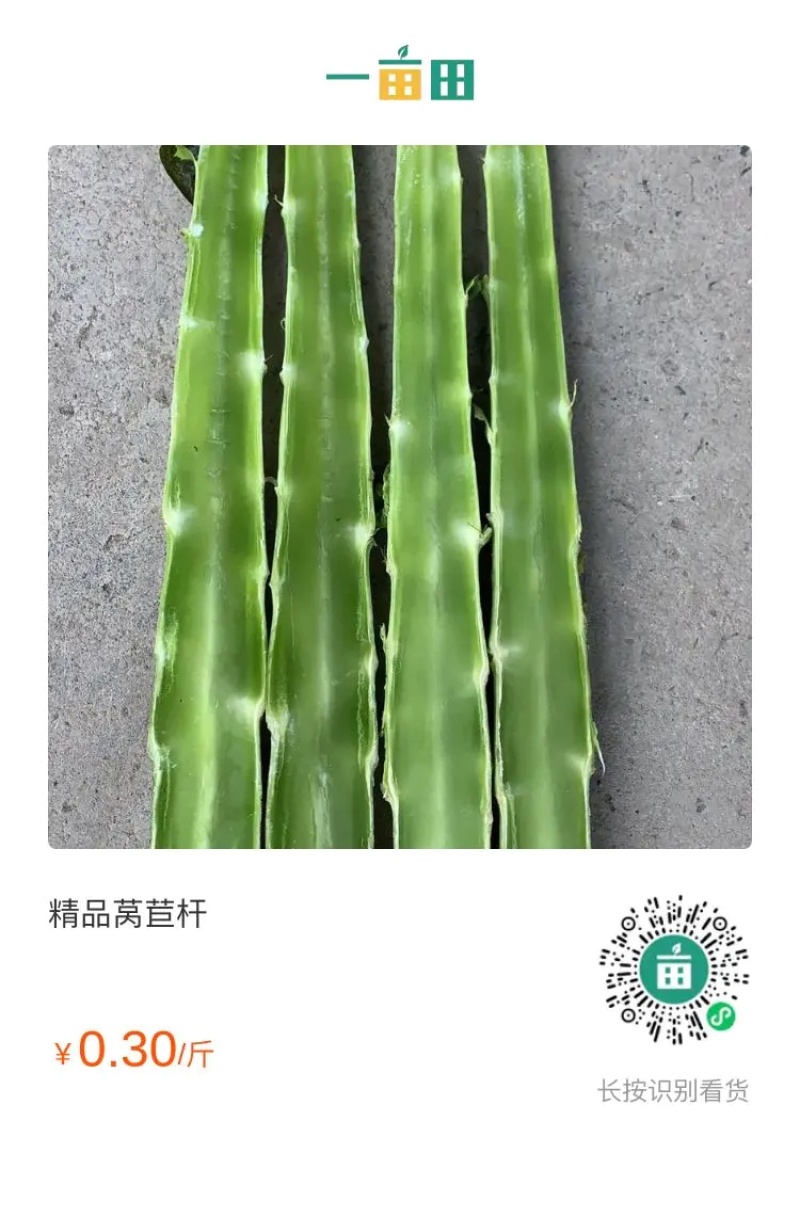 优质莴苣杆