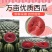 【产地直供】云南甜王西瓜火热销售中对接全国批发商