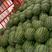 甜王西瓜大量批发，一手货源，产地直销，品种多