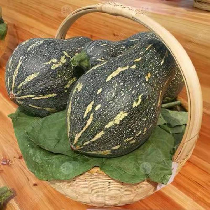 葫芦形肉厚香芋味浓口感粉糯耐储运高产稳产
