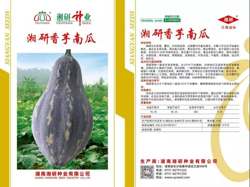 葫芦形肉厚香芋味浓口感粉糯耐储运高产稳产