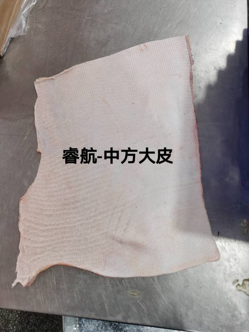 睿航脊皮，脊皮，纯干脊皮，没油，没毛，没里子