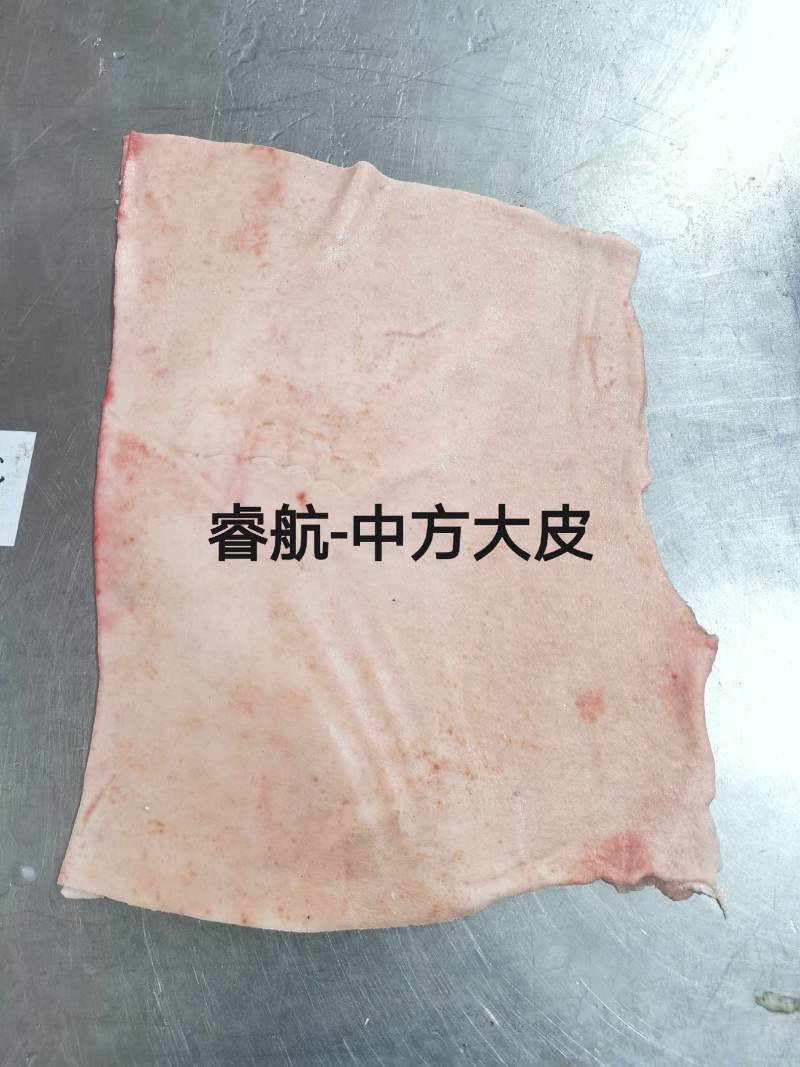 睿航脊皮，脊皮，纯干脊皮，没油，没毛，没里子