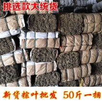 干粽叶麻竹叶A7选货原产地打包粽叶50斤一捆包粽子粽叶