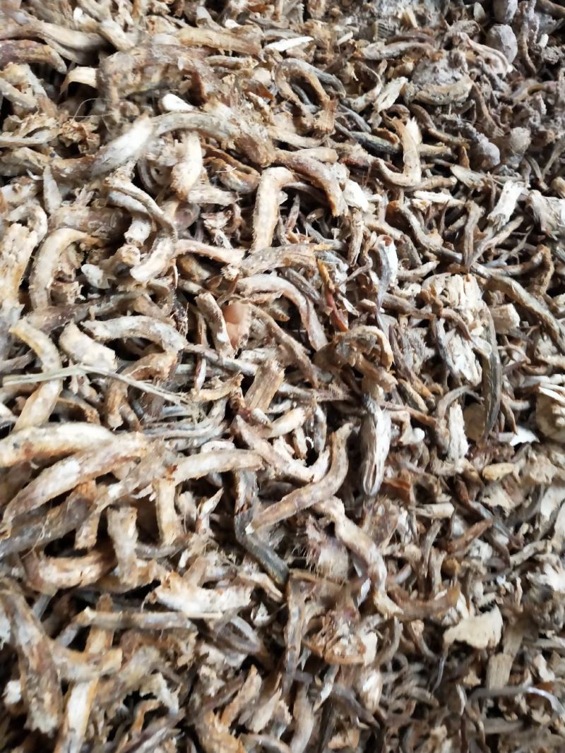 饲料鱼熟鱼下角料干度好纯鱼杂鱼一手货源无差价常年批发