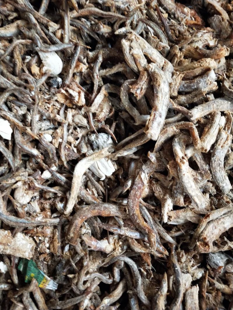 饲料鱼熟鱼下角料干度好纯鱼杂鱼一手货源无差价常年批发