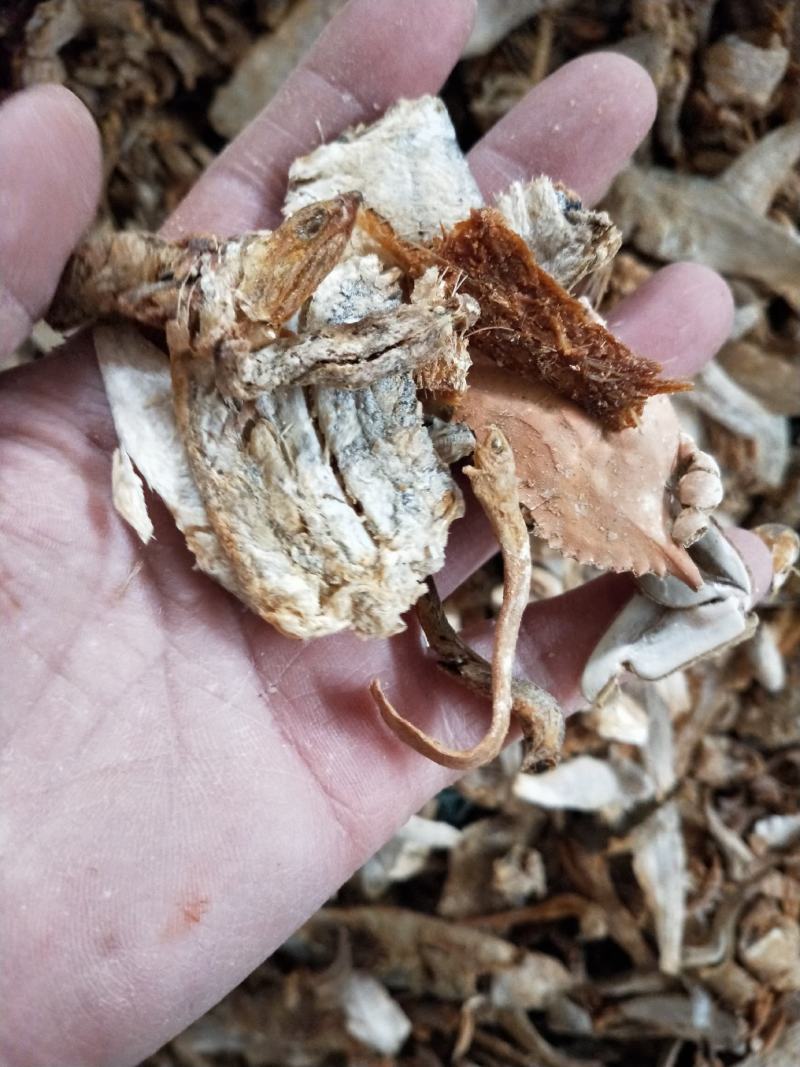 饲料鱼熟鱼下角料干度好纯鱼杂鱼一手货源无差价常年批发