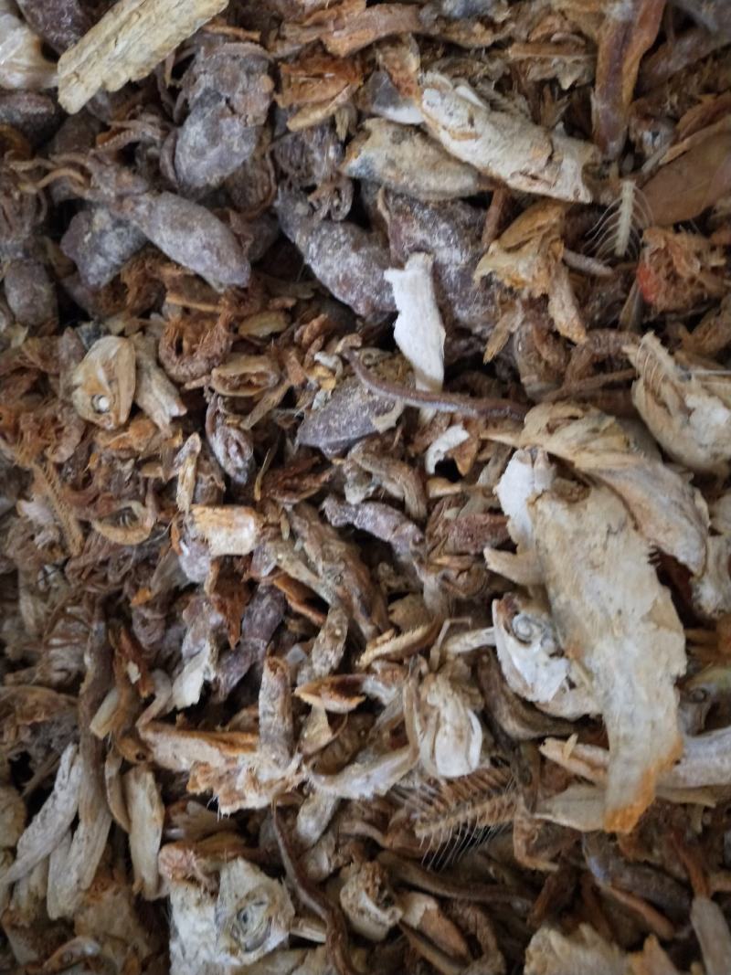 饲料鱼熟鱼下角料干度好纯鱼杂鱼一手货源无差价常年批发
