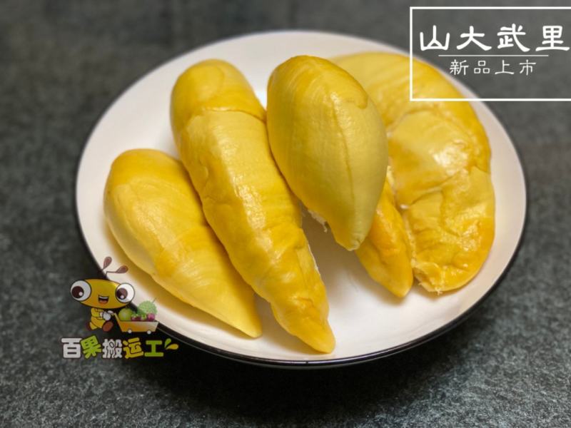 下单秒发玛雅+山大武里+托曼尼8KG空运深圳