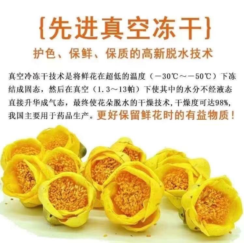 广西金花茶2021年新货金花茶特级防普冻干花茶