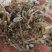 饲料鱼熟鱼下角料干度好纯鱼干杂鱼自家加工一手货源