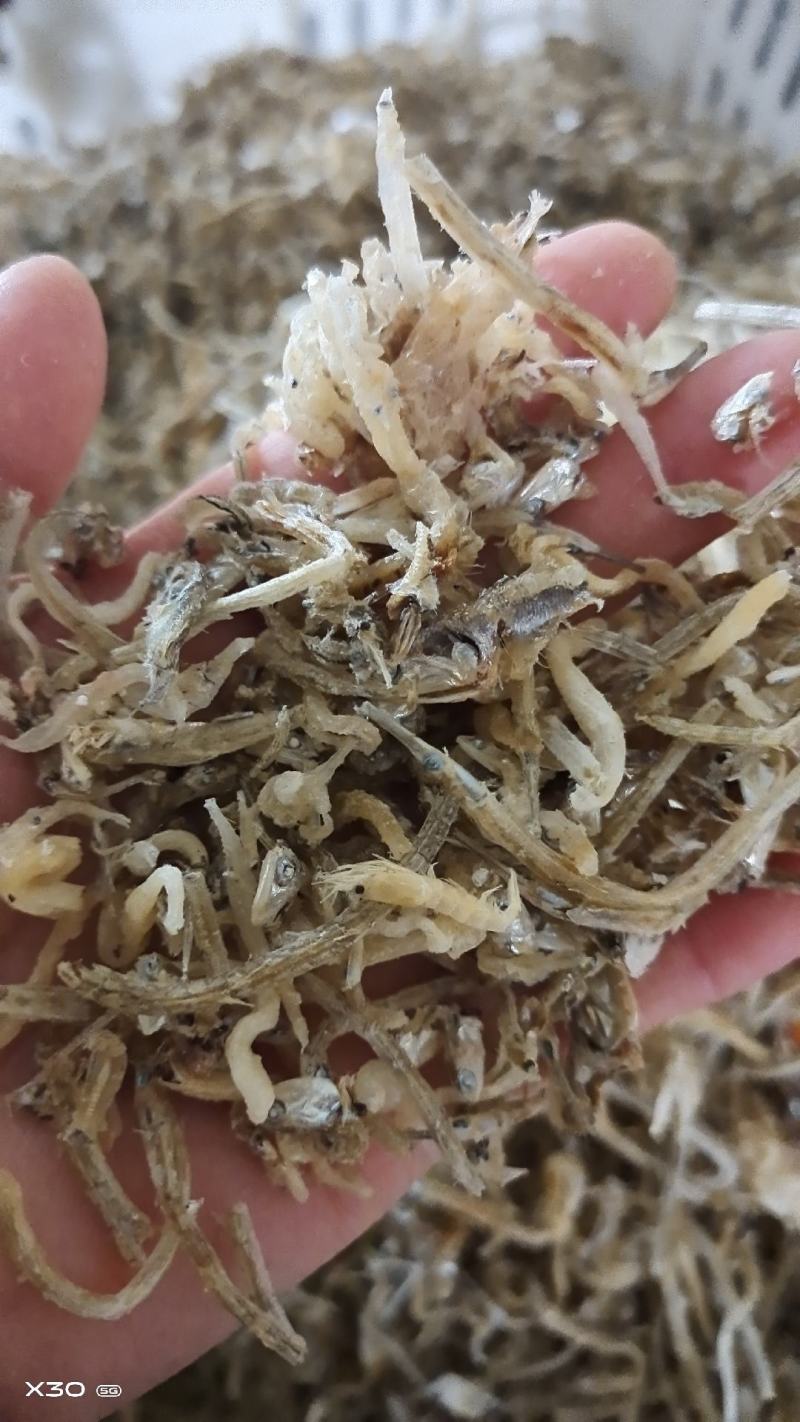 饲料鱼熟鱼下角料干度好纯鱼干杂鱼自家加工一手货源