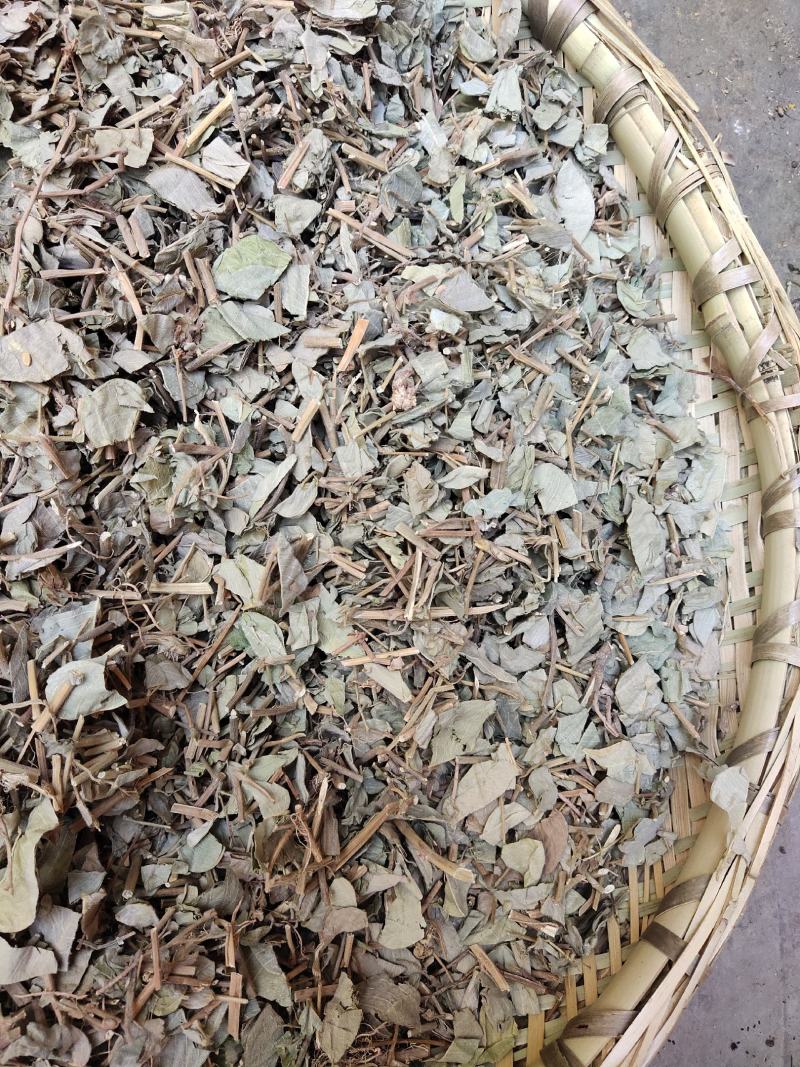 云南野生中药材金钱草大叶金钱草广金钱草过路黄