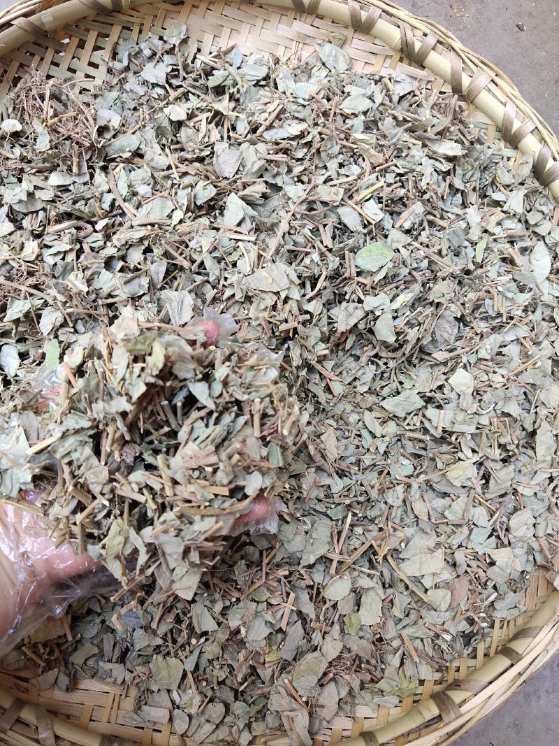 云南野生中药材金钱草大叶金钱草广金钱草过路黄